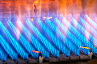Tregarth gas fired boilers
